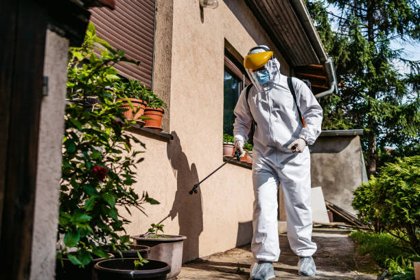 Best Bed Bug Extermination  in Kentfield, CA