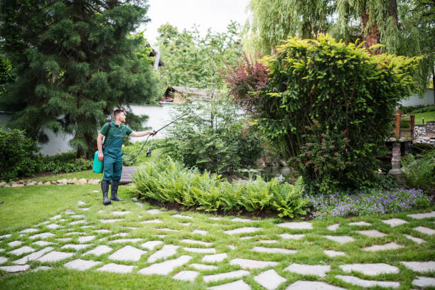 Best Rodent Control Near Me  in Kentfield, CA