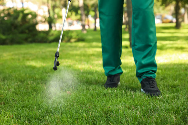 Best Best Pest Control Companies  in Kentfield, CA