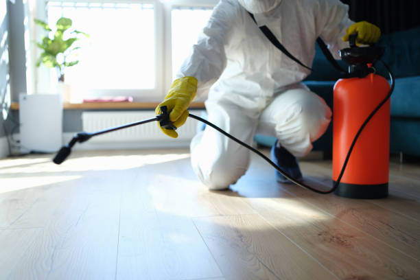 Best Affordable Pest Control Services  in Kentfield, CA