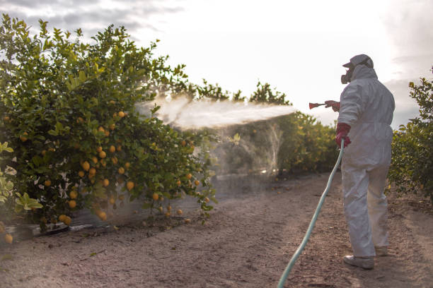 Best Cockroach Control Services  in Kentfield, CA