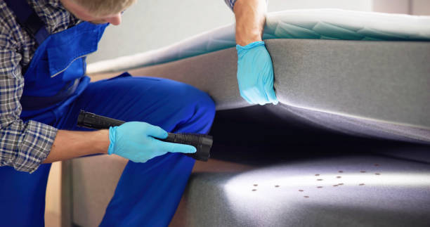 Best Commercial Pest Control Services  in Kentfield, CA