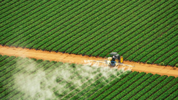 Best Affordable Exterminators  in Kentfield, CA