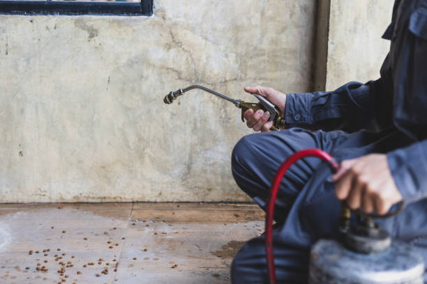 Best Residential Pest Control  in Kentfield, CA